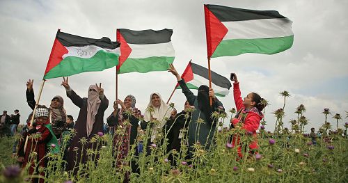 Bulletin « Voix de la résistance en Palestine » N°1 Juin 2019